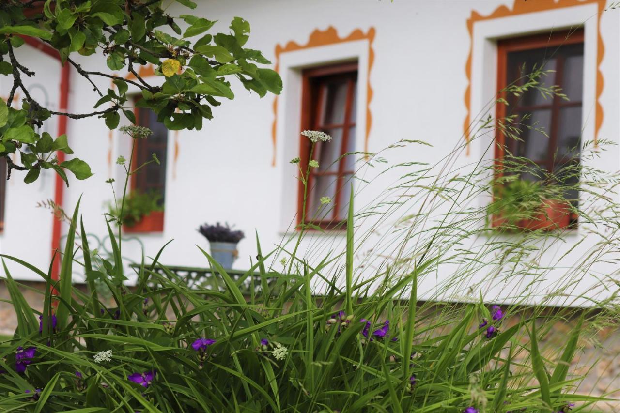 Hotel Hajenka Hrabete Buquoye Kaplice Exterior foto